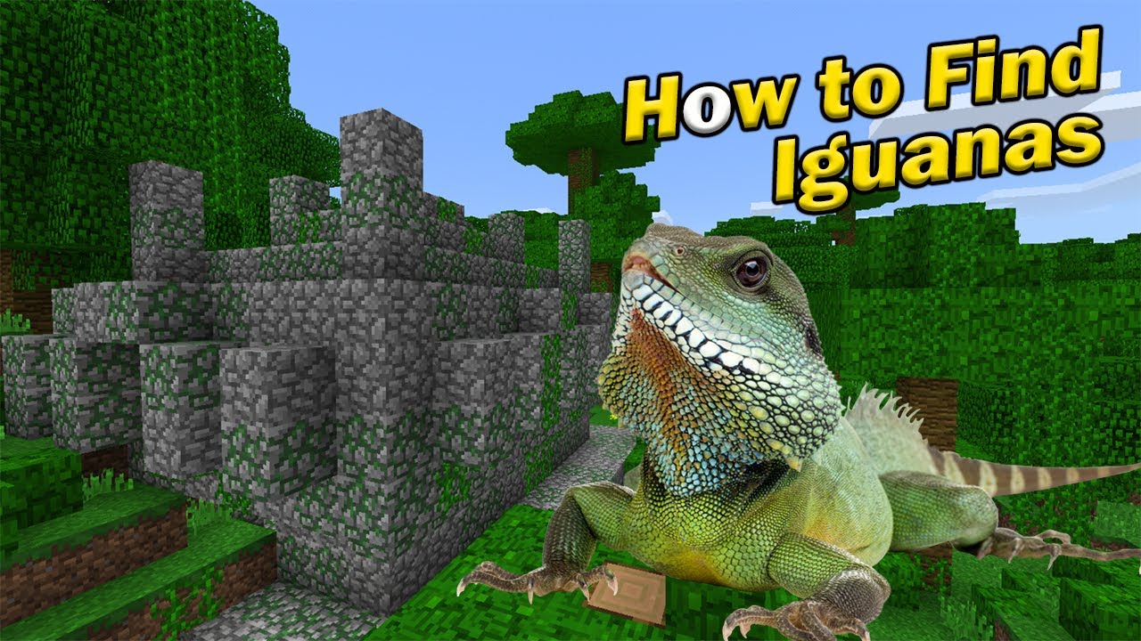 Iguana Minecraft - KibrisPDR