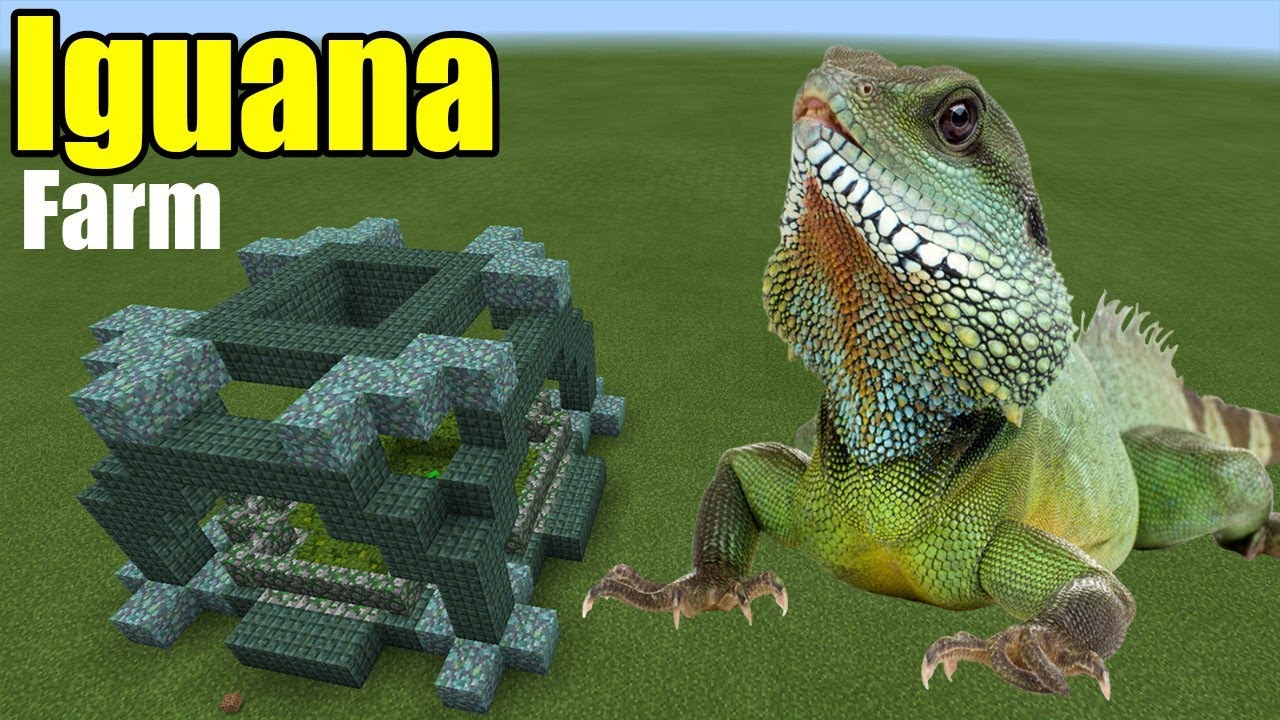 Detail Iguana Minecraft Nomer 9