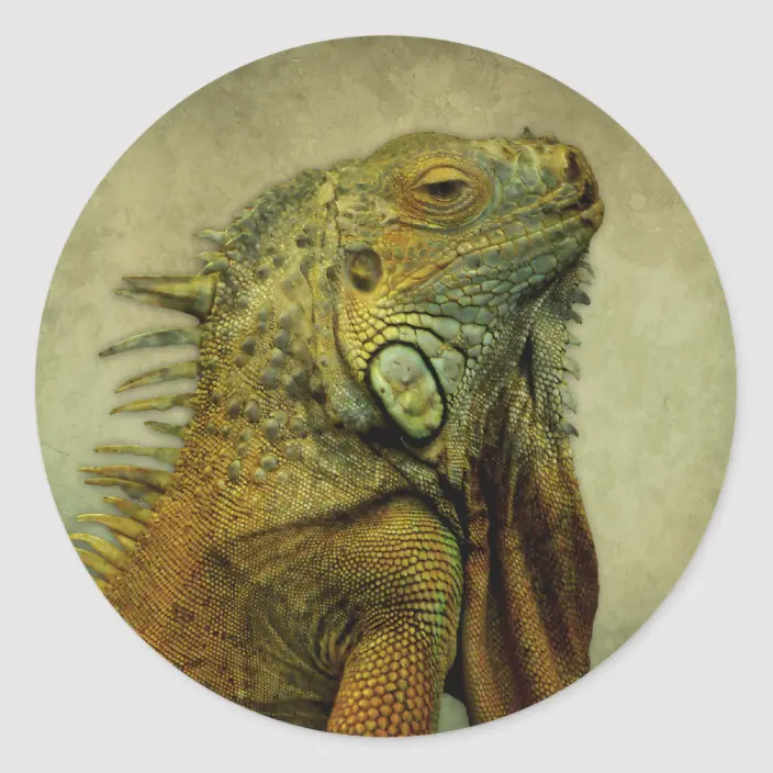 Detail Iguana Stickers Nomer 19