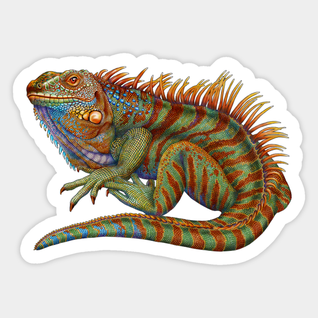 Detail Iguana Stickers Nomer 3