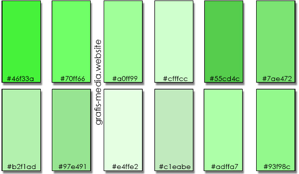 Ijo Pastel - KibrisPDR