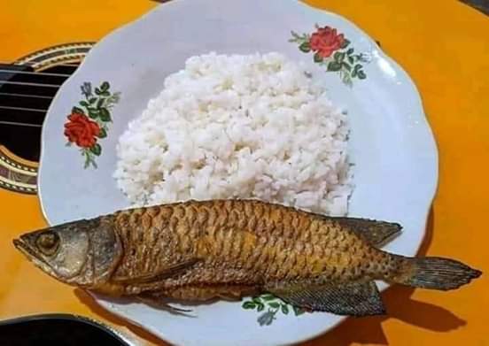 Ikan Arwana Di Goreng - KibrisPDR