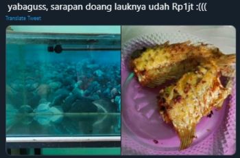 Detail Ikan Arwana Di Goreng Nomer 13