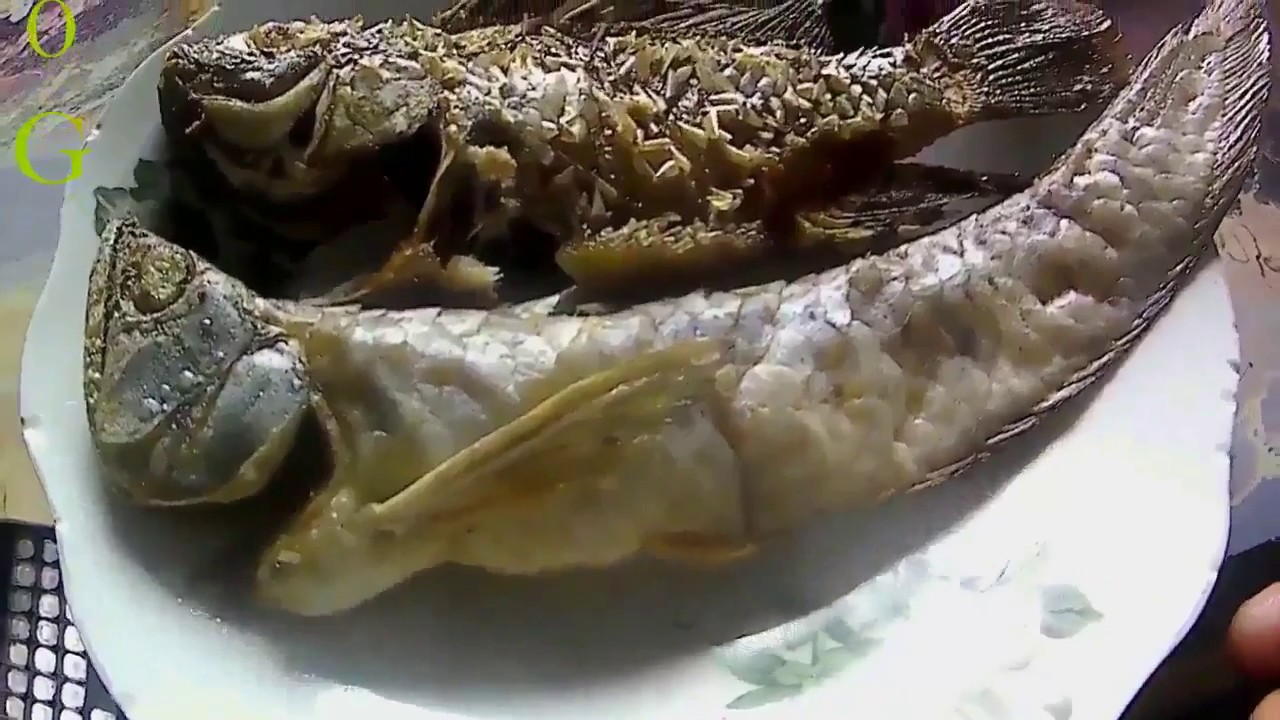 Detail Ikan Arwana Di Goreng Nomer 15