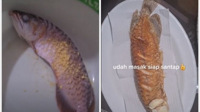 Detail Ikan Arwana Di Goreng Nomer 23