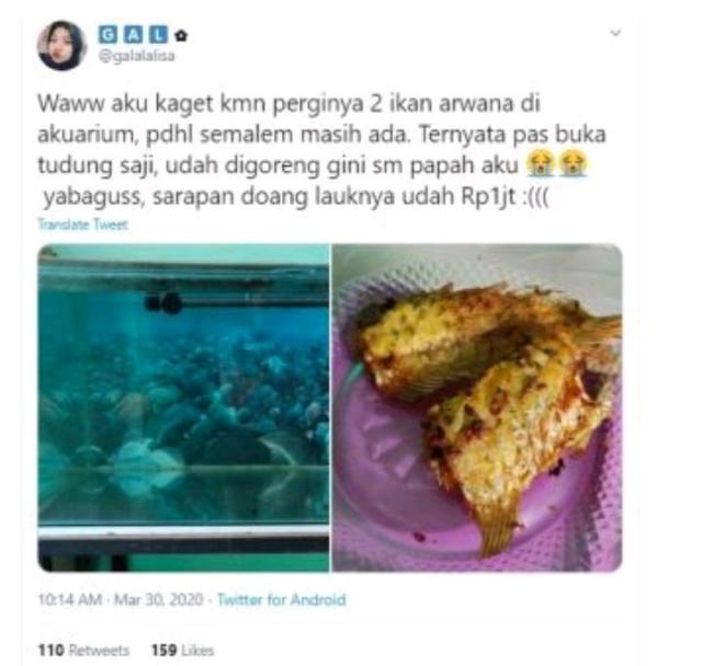 Detail Ikan Arwana Di Goreng Nomer 34