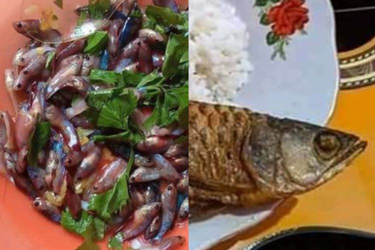 Detail Ikan Arwana Di Goreng Nomer 35