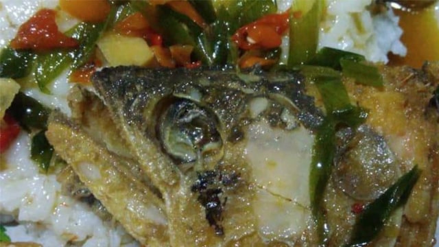 Detail Ikan Arwana Di Goreng Nomer 42