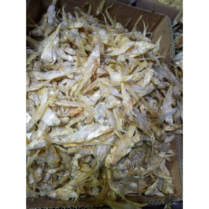 Detail Ikan Asin Bulu Ayam Tawar Nomer 25