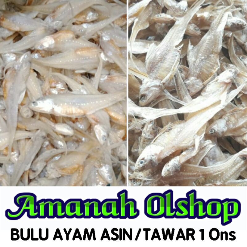 Detail Ikan Asin Bulu Ayam Tawar Nomer 31