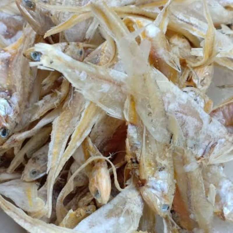 Detail Ikan Asin Bulu Ayam Tawar Nomer 6