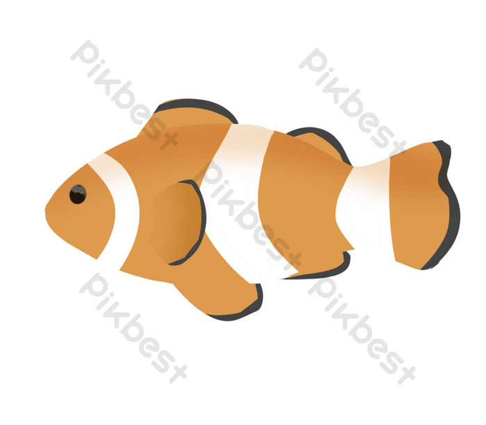 Detail Ikan Badut Png Nomer 24