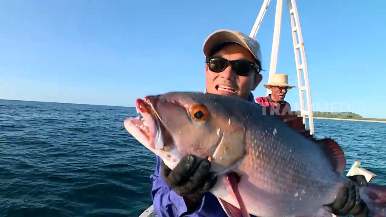 Detail Ikan Besar Di Laut Nomer 42