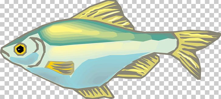 Detail Ikan Cartoon Png Nomer 47