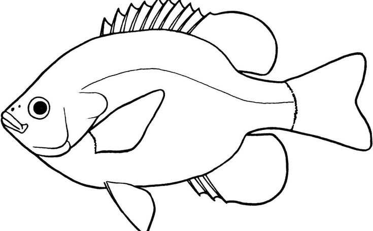 Detail Ikan Clipart Black And White Nomer 22