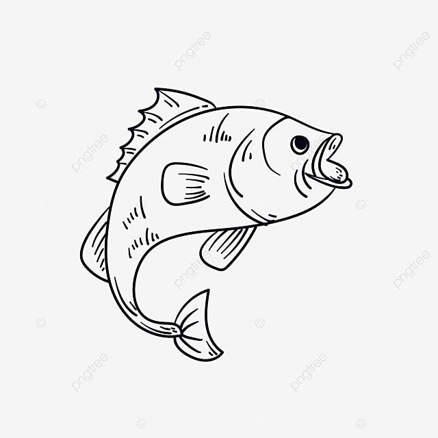 Detail Ikan Clipart Black And White Nomer 23