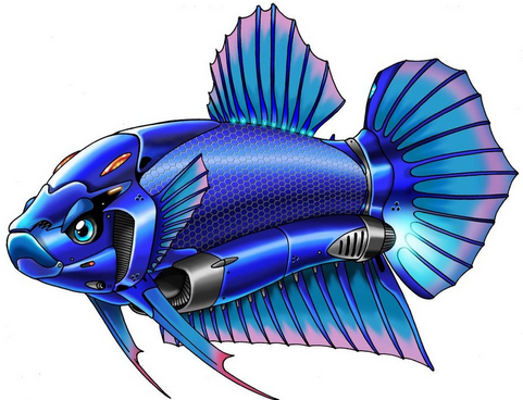 Detail Ikan Cupang Png Nomer 43