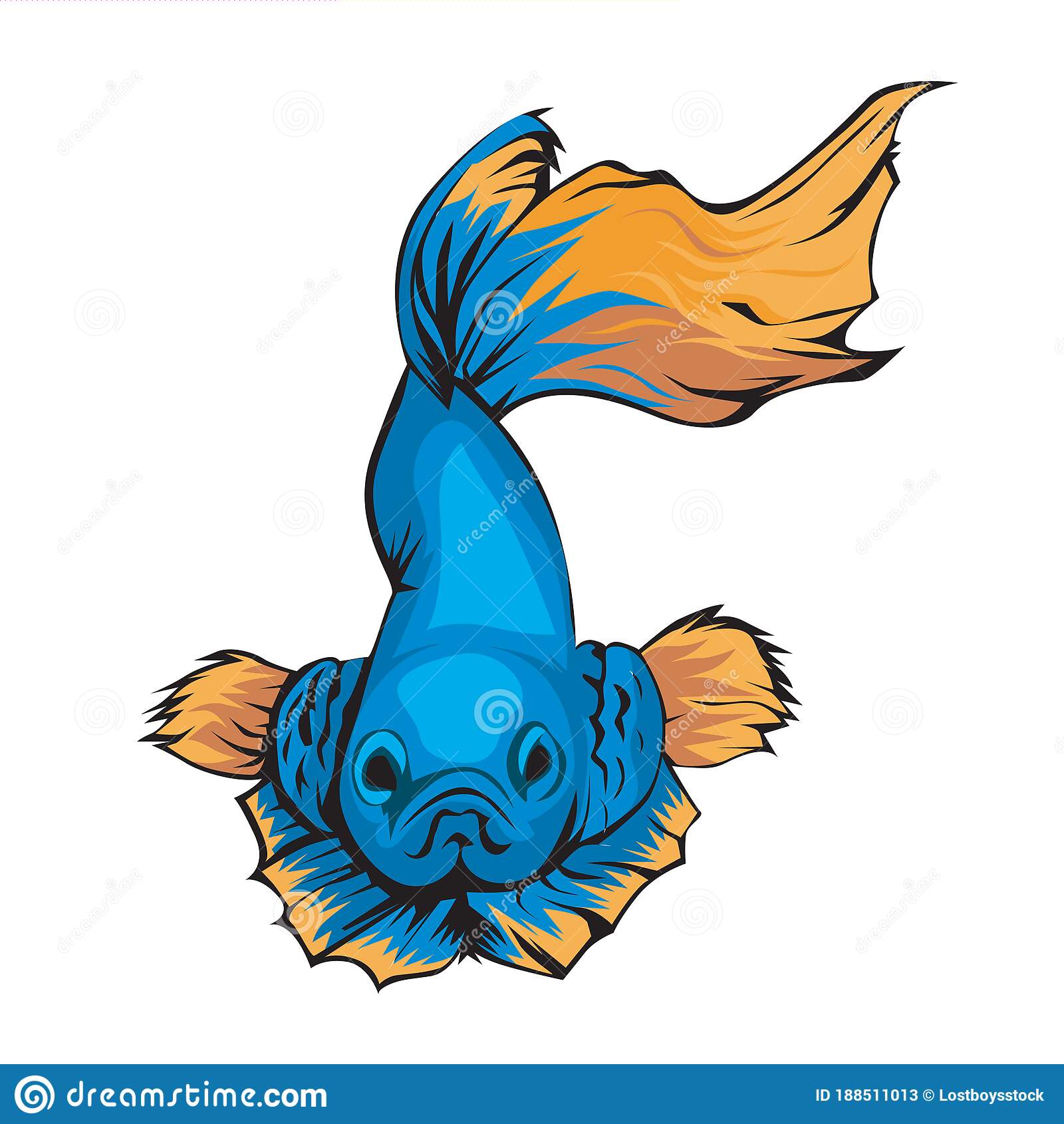 Ikan Cupang Vector - KibrisPDR