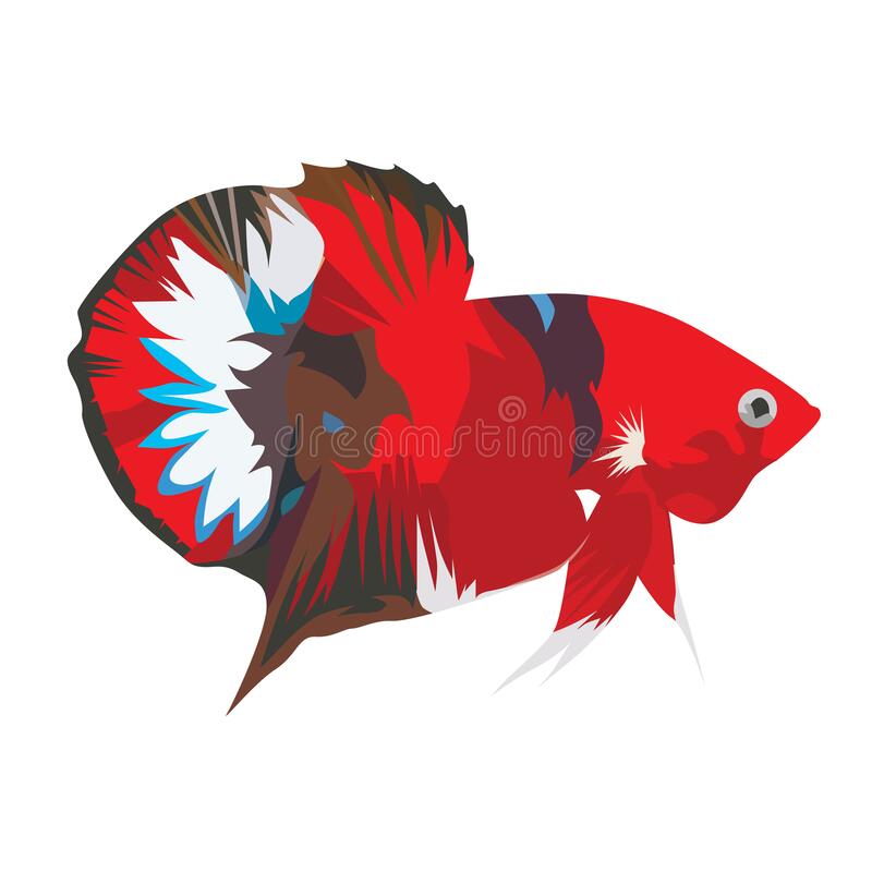 Detail Ikan Cupang Vector Nomer 4