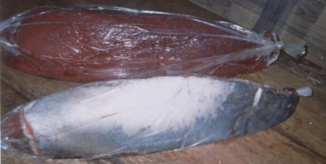 Detail Ikan Daging Putih Nomer 26