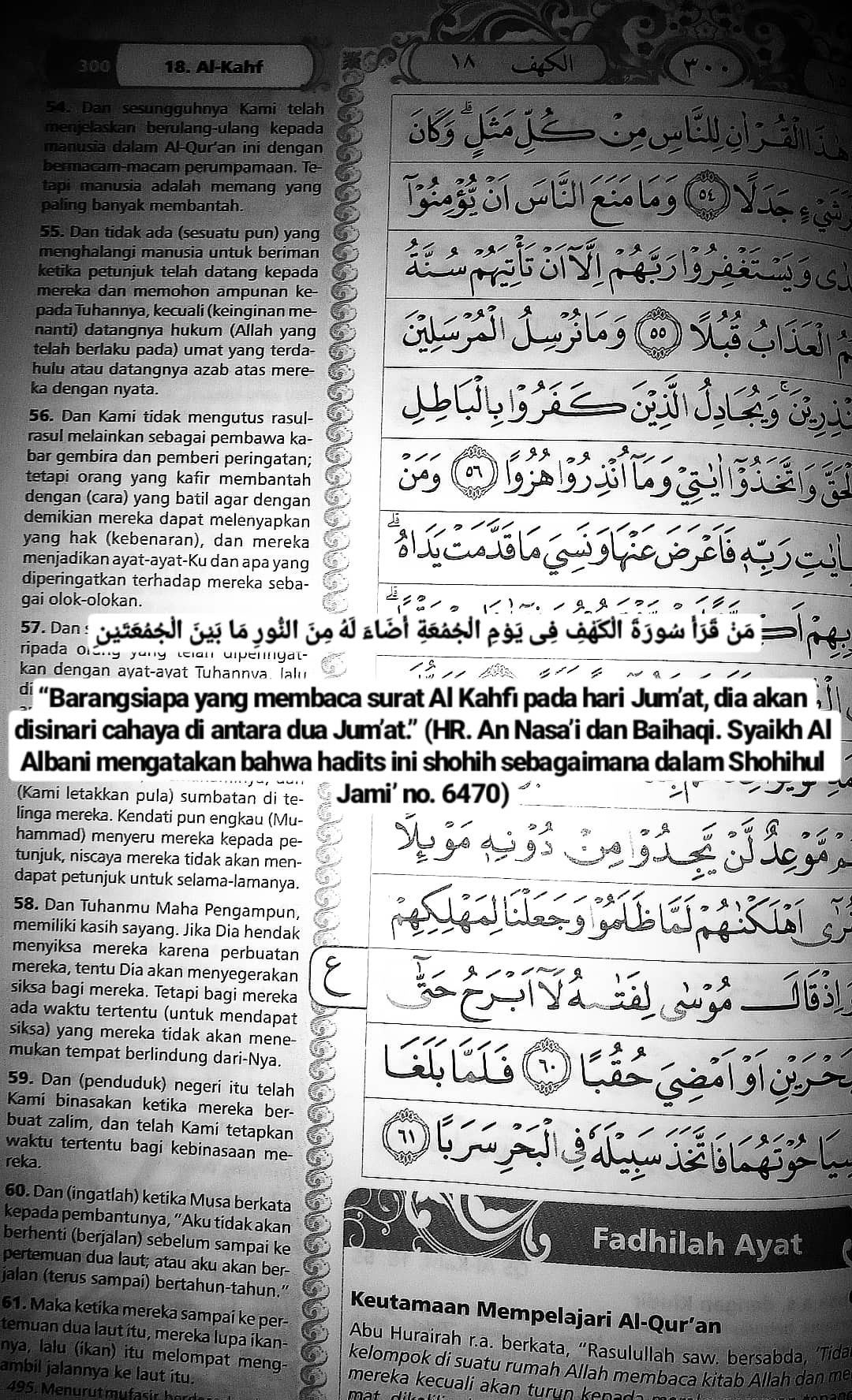 Detail Ikan Dalam Surat Al Kahfi Nomer 22