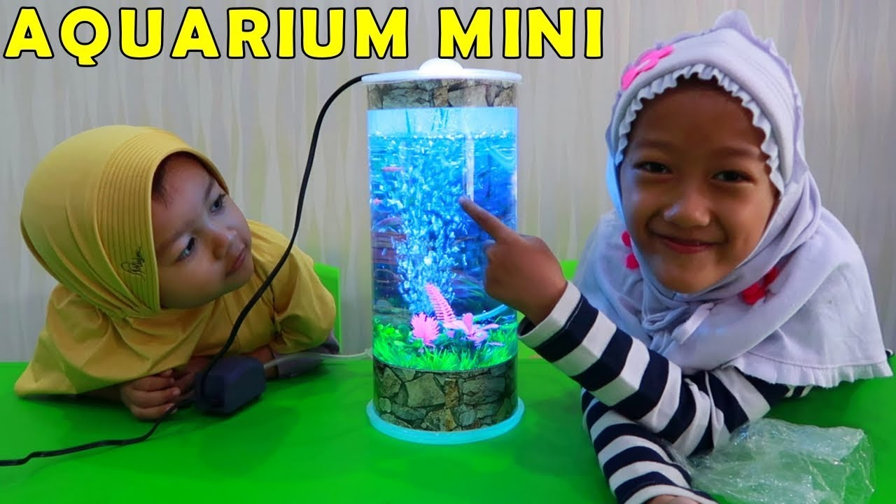 Detail Ikan Di Akuarium Kecil Nomer 20