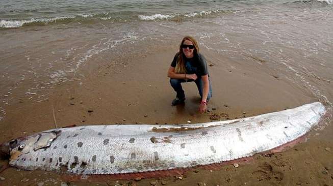 Detail Ikan Di Dalam Laut Nomer 36