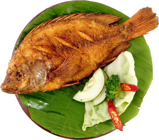 Detail Ikan Goreng Png Nomer 19