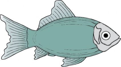 Detail Ikan Gurame Vector Nomer 31