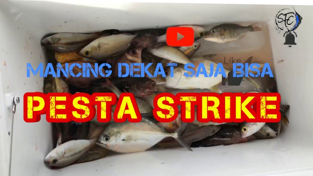 Detail Ikan Hasil Mancing Di Laut Nomer 20