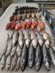 Detail Ikan Hasil Mancing Di Laut Nomer 33