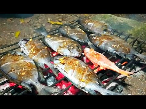 Download Ikan Hasil Mancing Di Laut Nomer 36