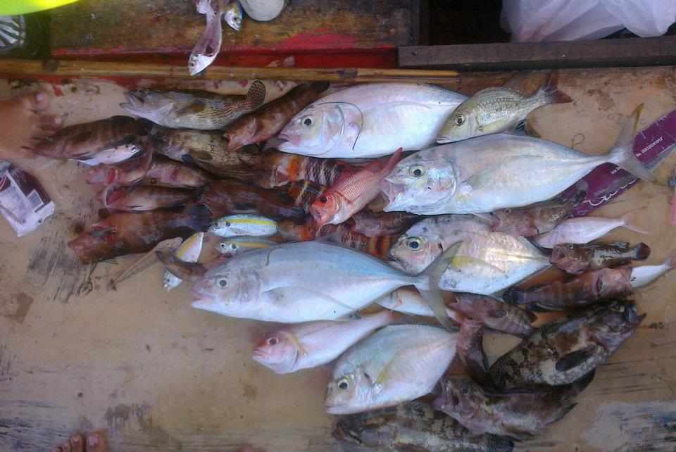 Detail Ikan Hasil Mancing Di Laut Nomer 45