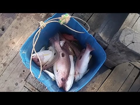 Detail Ikan Hasil Mancing Di Laut Nomer 7