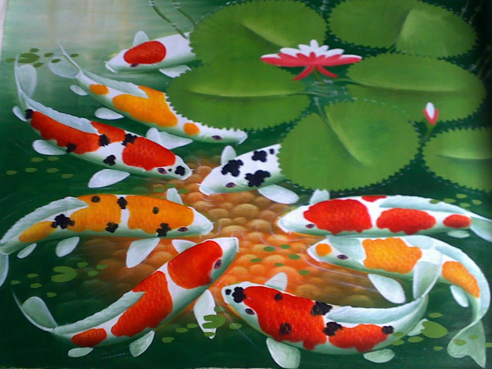 Detail Ikan Hias Wallpaper Nomer 35