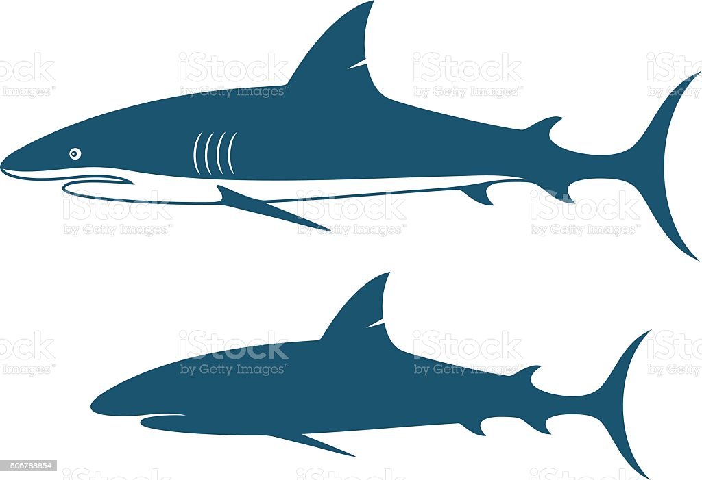 Detail Ikan Hiu Vector Nomer 13