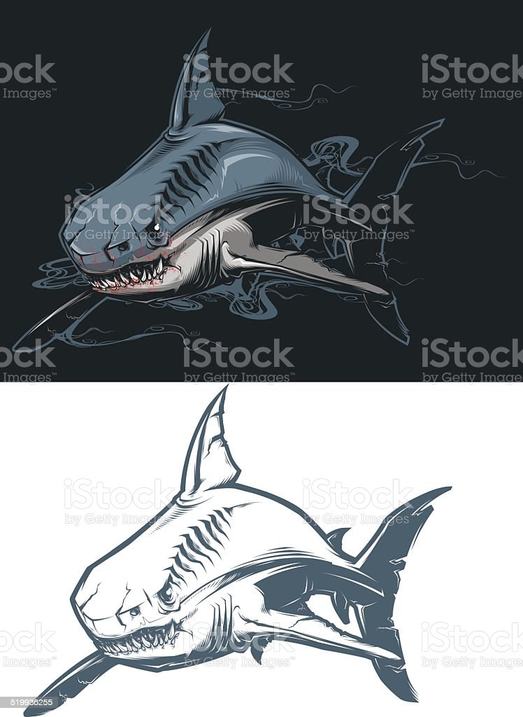 Detail Ikan Hiu Vector Nomer 35