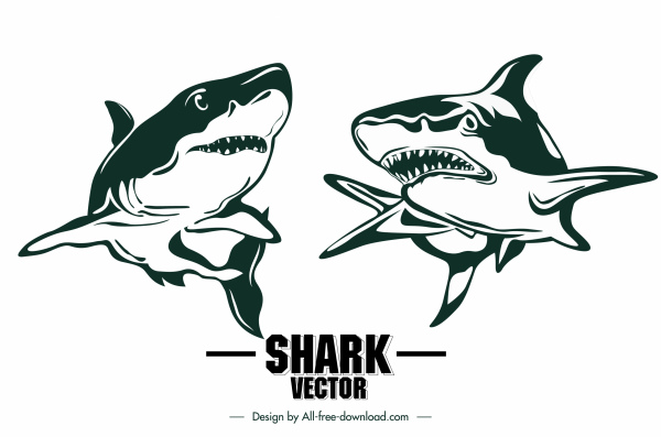 Detail Ikan Hiu Vector Nomer 37