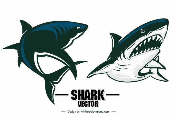 Detail Ikan Hiu Vector Nomer 44