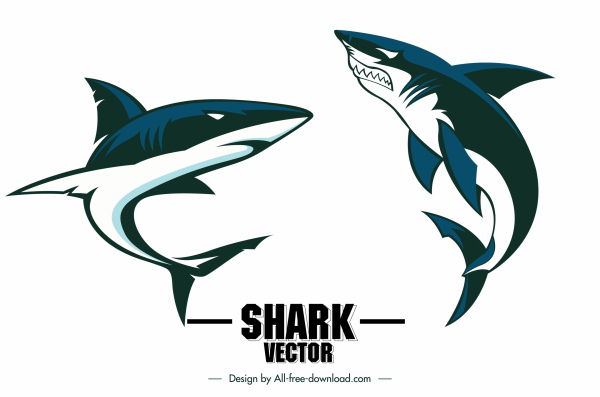 Detail Ikan Hiu Vector Nomer 7