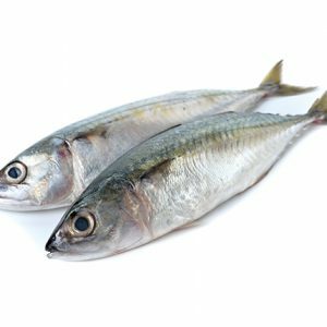 Detail Ikan Kembung Png Nomer 29