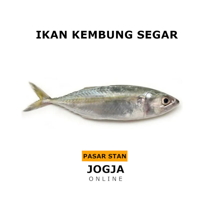 Detail Ikan Kembung Segar Nomer 28