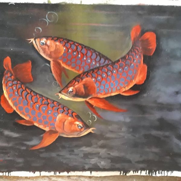 Detail Ikan Koi 3d Nomer 45