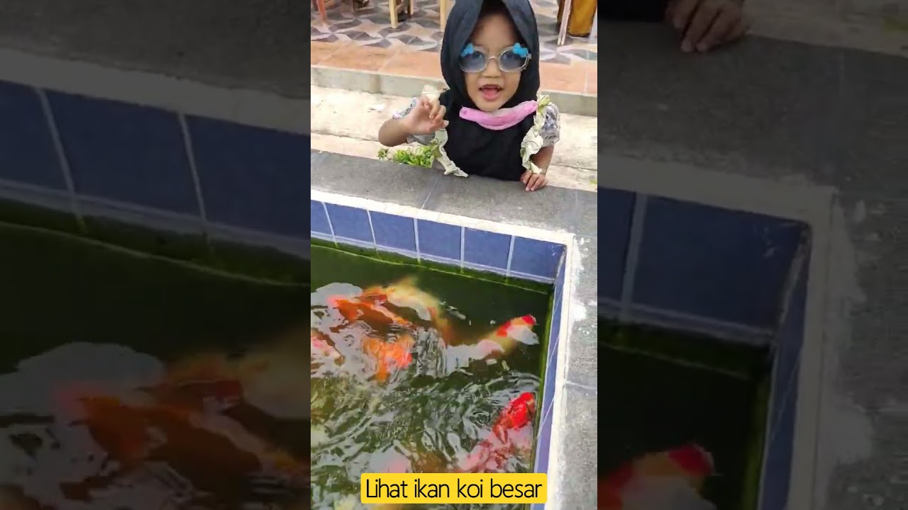 Detail Ikan Koi Besar Nomer 38