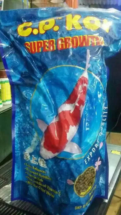 Detail Ikan Koi Biru Nomer 22