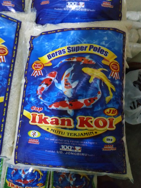 Detail Ikan Koi Biru Nomer 48