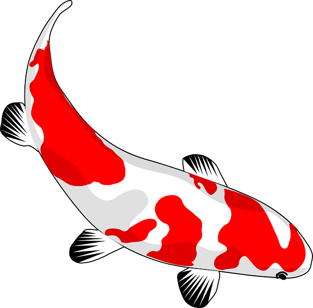 Detail Ikan Koi Gambar Nomer 27