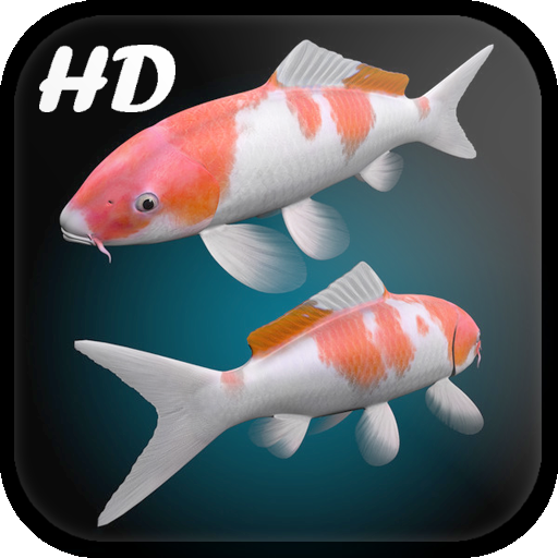 Detail Ikan Koi Live Wallpaper Nomer 35