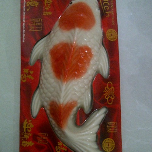 Detail Ikan Koi Merah Putih Nomer 44