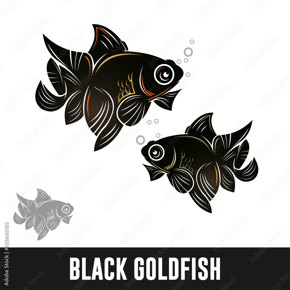 Detail Ikan Koki Black Gold Nomer 38